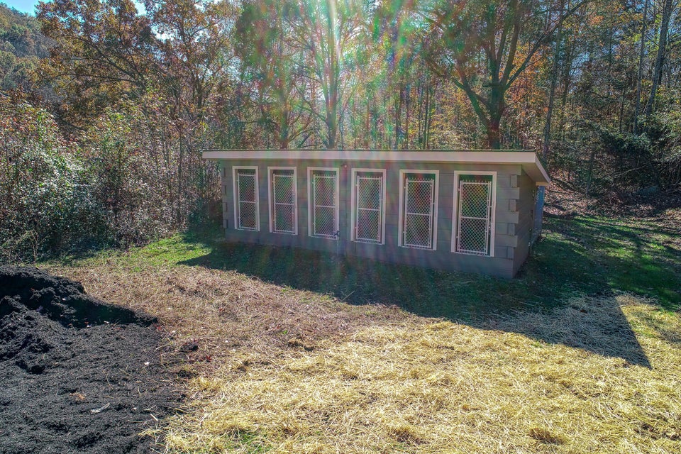 Photo #71: 1274 Tarpine Valley Road