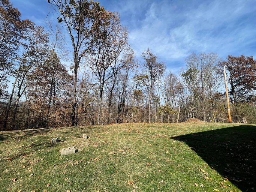 Photo #5: 5634 Orebank Road