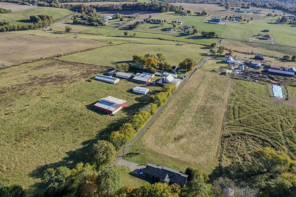 Photo #9: 850 Seahorn Road