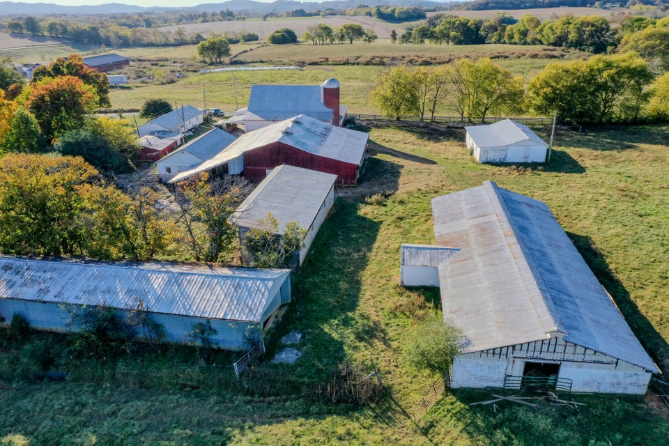 Photo #12: 850 Seahorn Road
