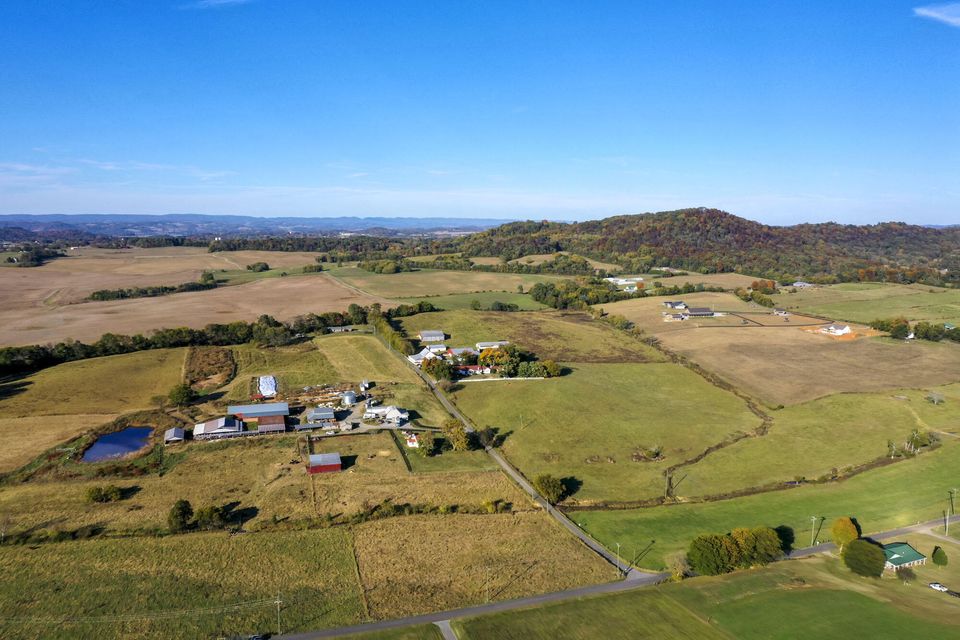 Photo #18: 850 Seahorn Road