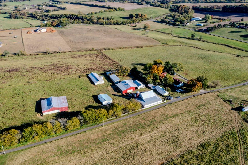Photo #23: 850 Seahorn Road