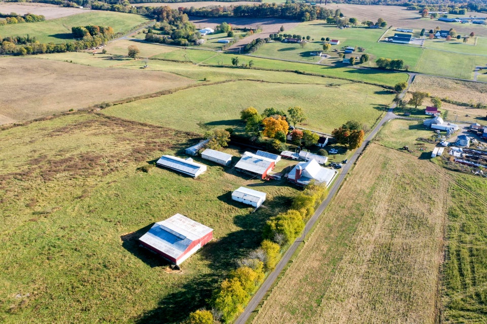 Photo #27: 850 Seahorn Road