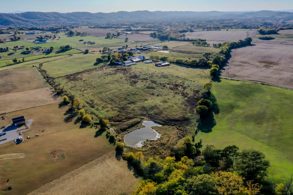 Photo #30: 850 Seahorn Road