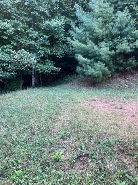 Photo #4: Lot 6 Laurel Highlands Road