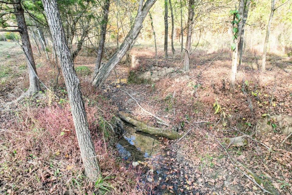 Photo #8: 35 Ac Payne Hollow Rd 