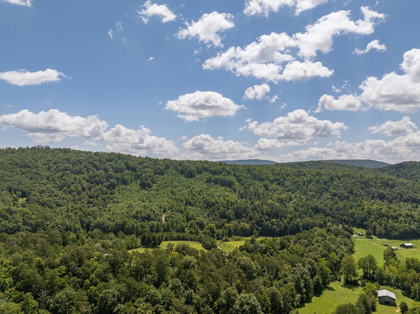 Photo #6: 2039 War Valley Road