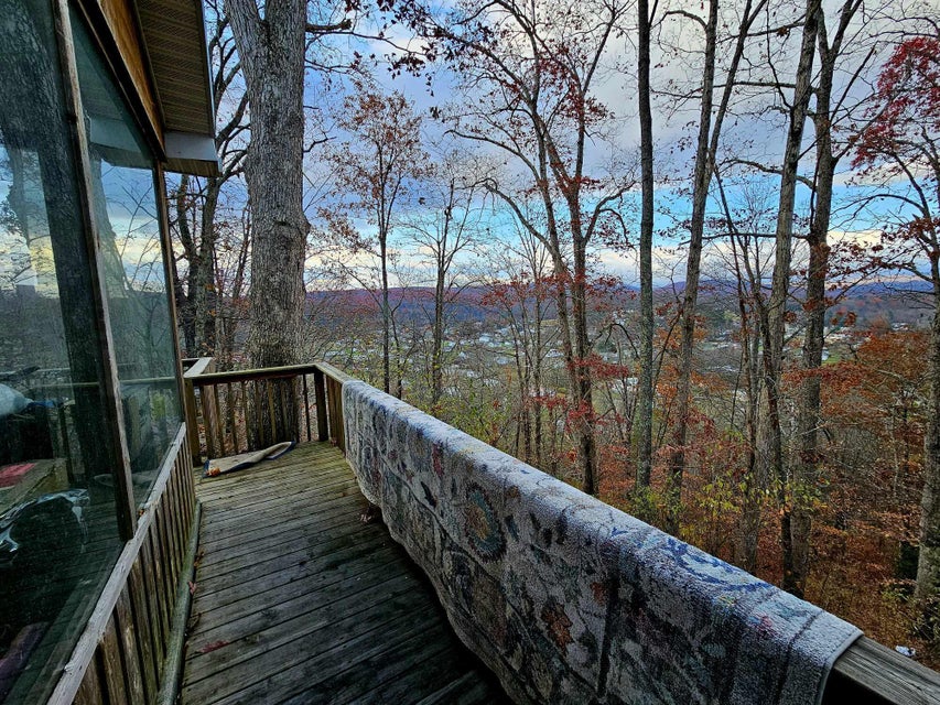 Photo #12: 101 Odle Hill