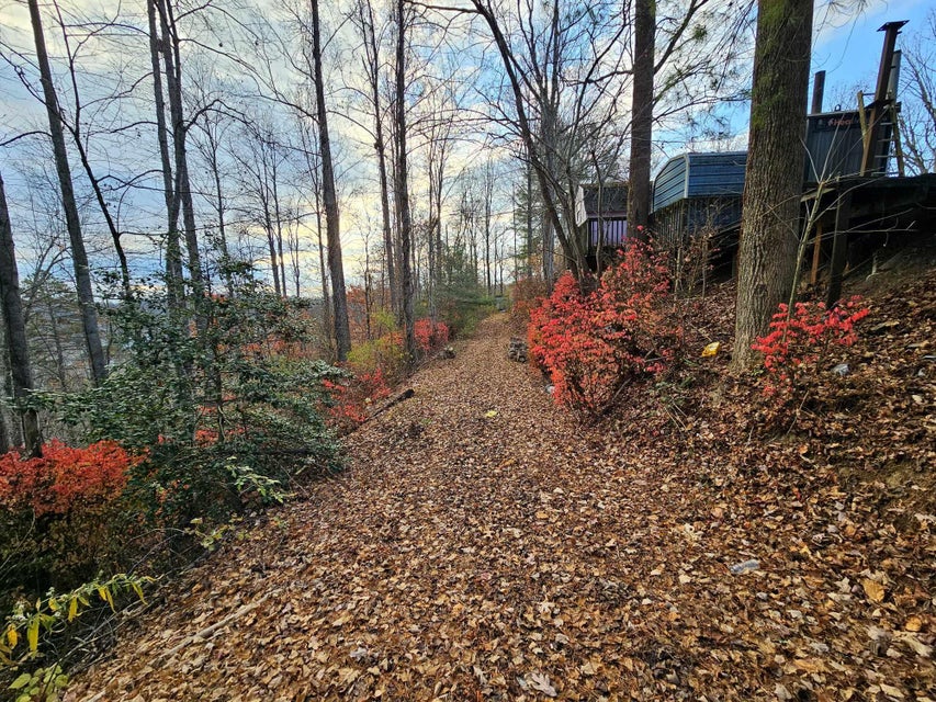Photo #44: 101 Odle Hill