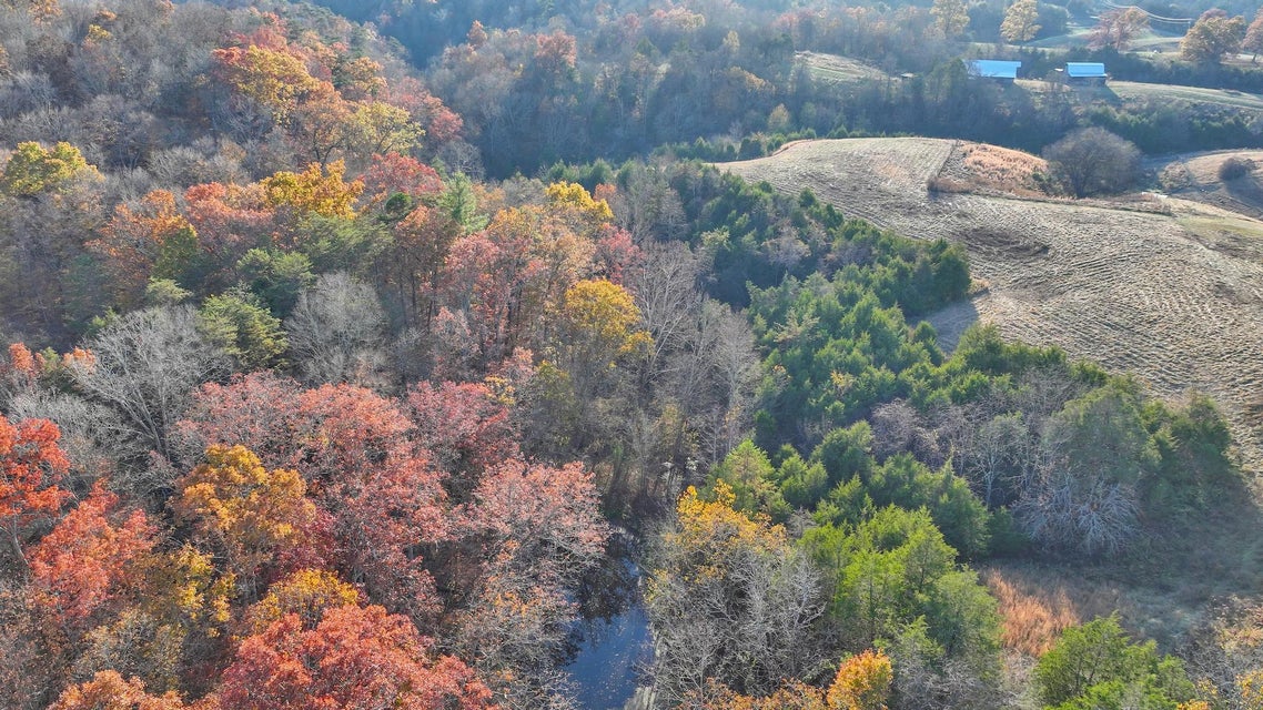 Photo #10: Tbd South Mohawk Road
