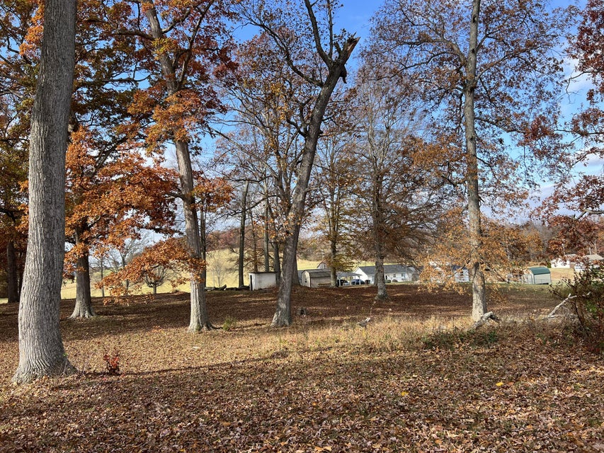Photo #13: 120 Townsend Road