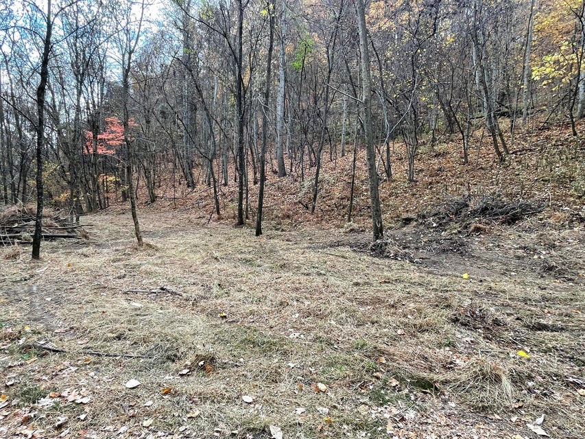 Photo #15: 0 Holston Street