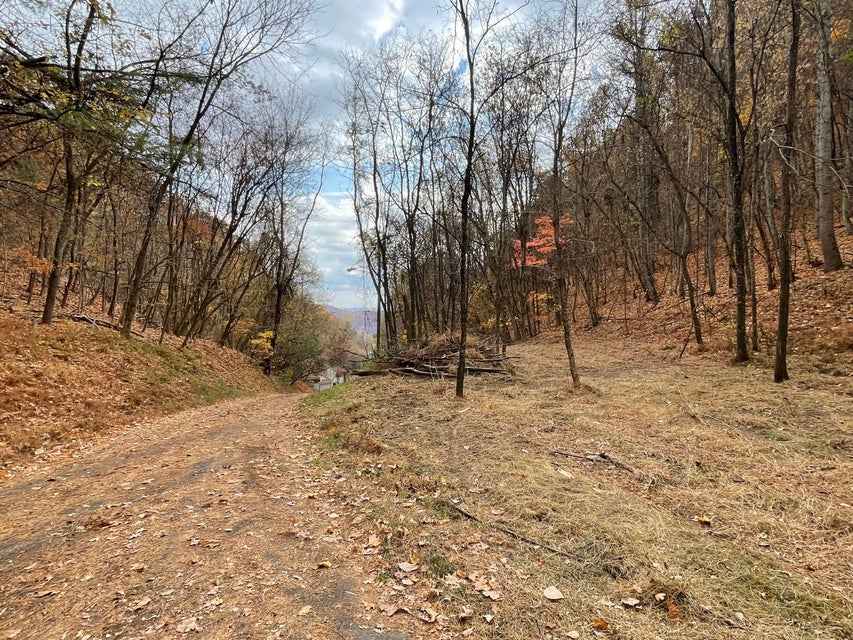 Photo #16: 0 Holston Street