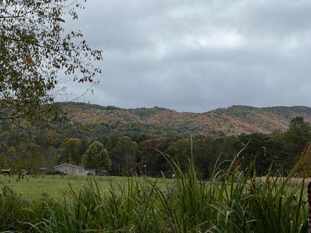 Photo #10: 612 Mill Creek Road