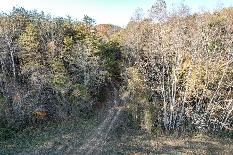 Photo #4: 36.38 Ac Poplar Springs Road