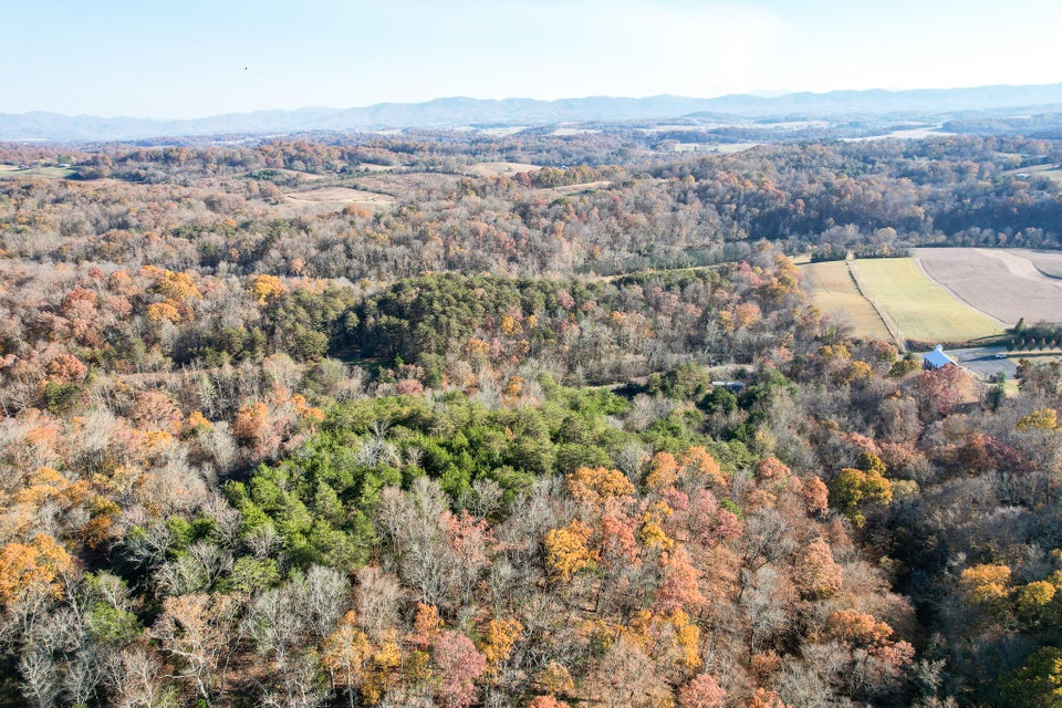 Photo #7: 36.38 Ac Poplar Springs Road