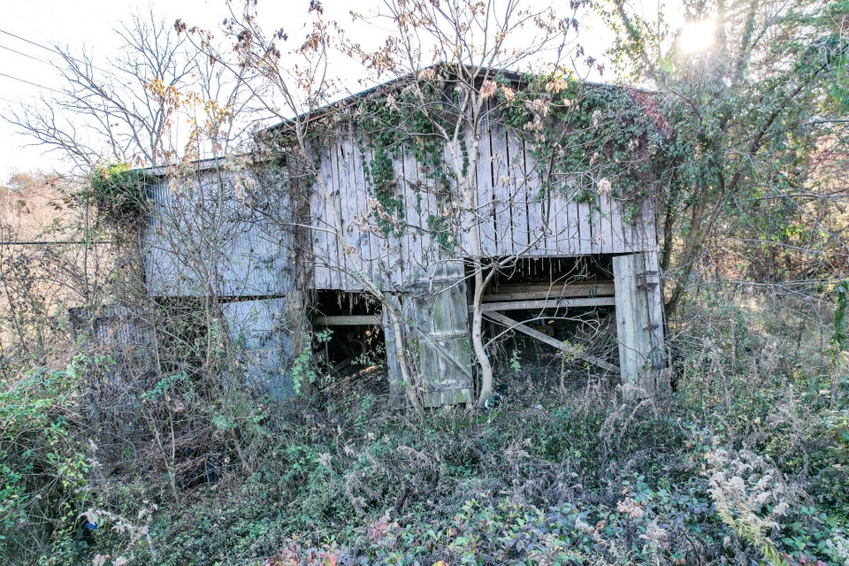 Photo #13: 36.38 Ac Poplar Springs Road