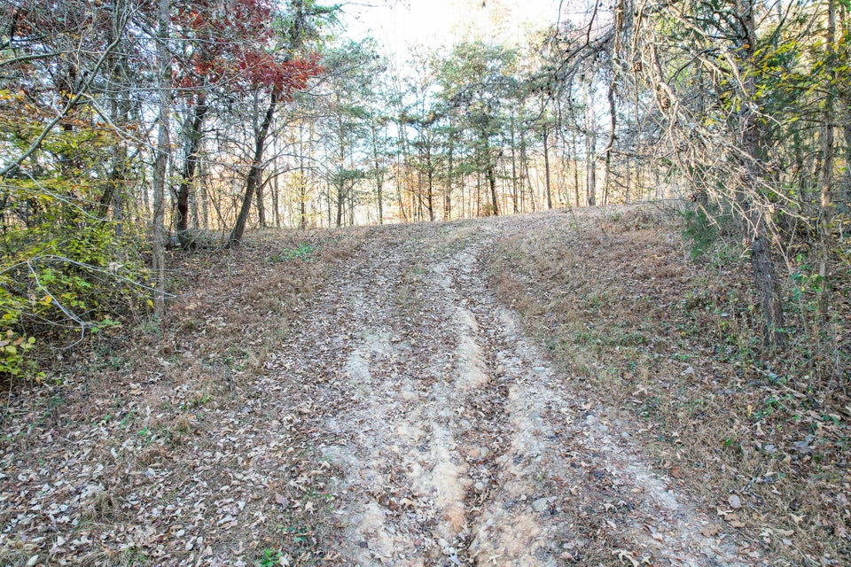 Photo #19: 36.38 Ac Poplar Springs Road