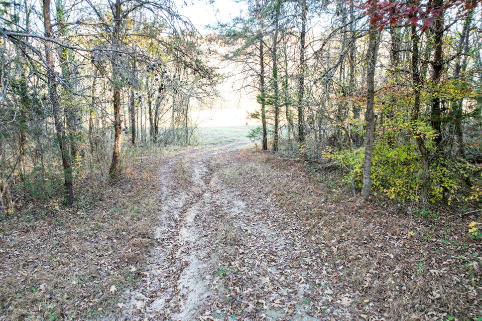 Photo #21: 36.38 Ac Poplar Springs Road