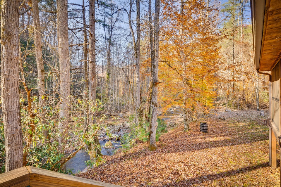 Photo #46: 5435 Lower Paint Creek Road
