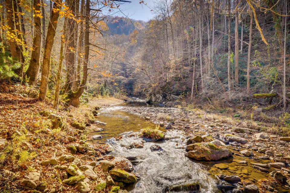 Photo #54: 5435 Lower Paint Creek Road