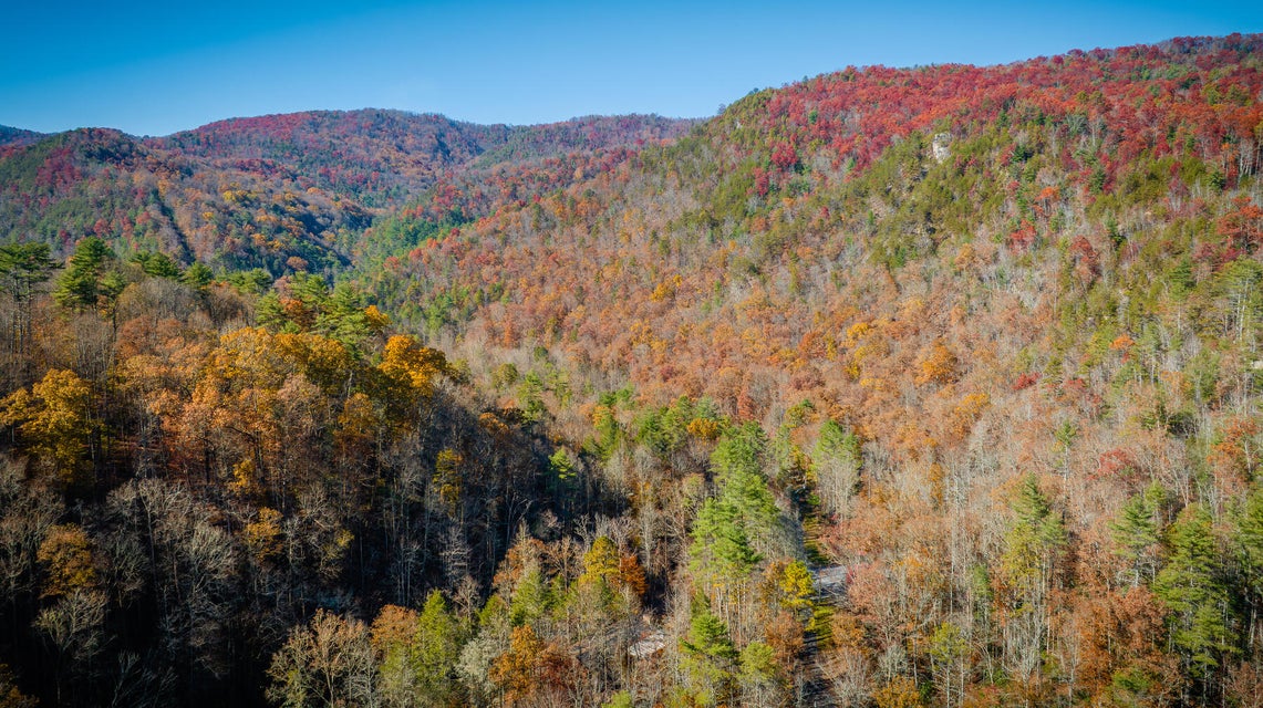 Photo #70: 5435 Lower Paint Creek Road