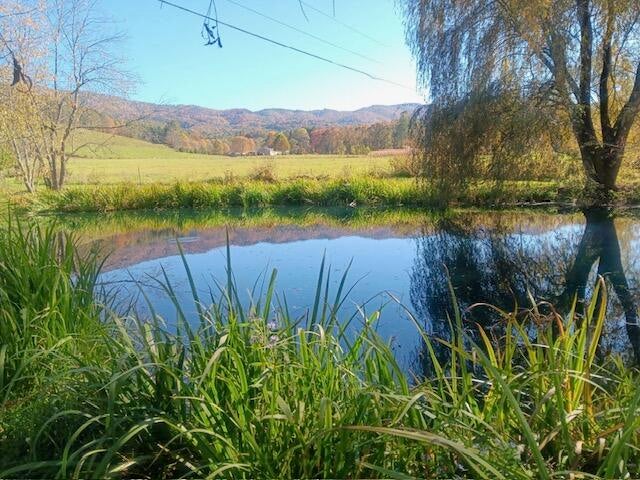 Photo #4: 612 Mill Creek Road