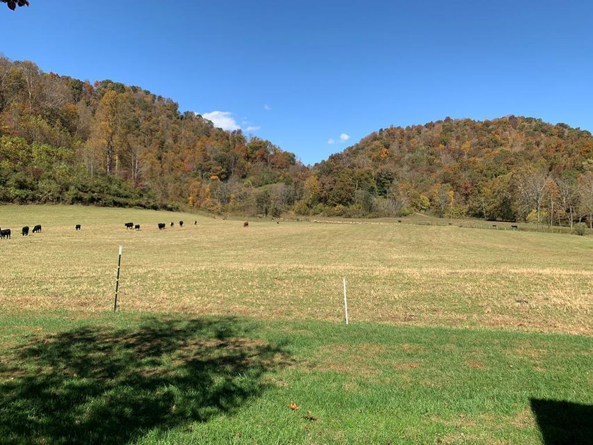 Photo #51: 494 Rocky Fork Rd