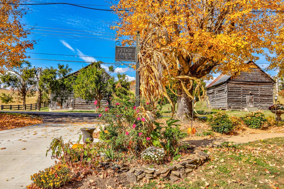 Photo #22: 2620 Main Street