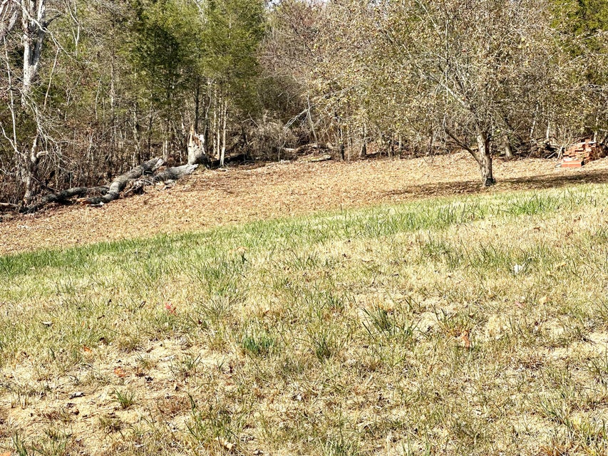 Photo #55: 1549 Valley Creek Road