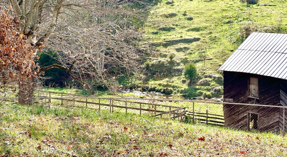 Photo #56: 1549 Valley Creek Road