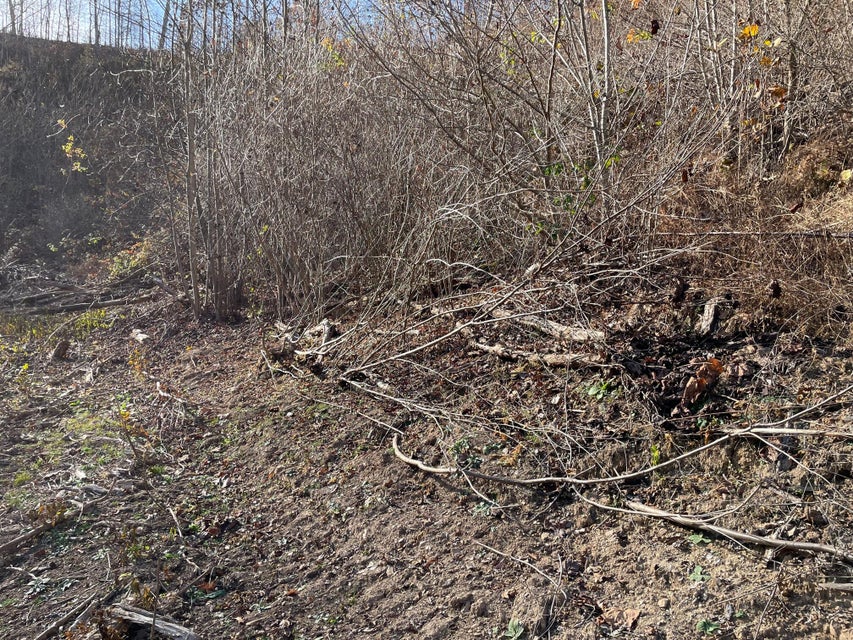 Photo #3: Tract # 9 Shelleys Road