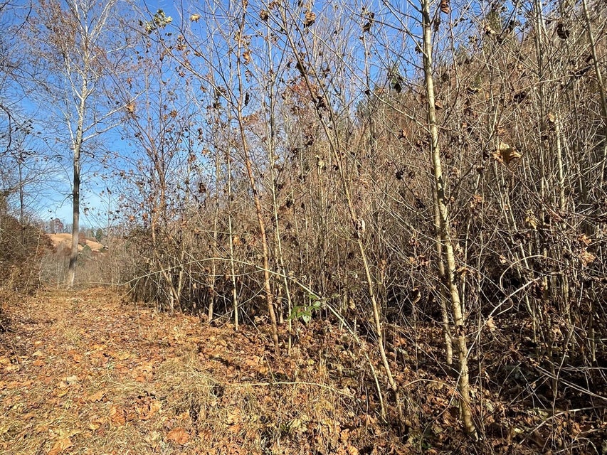 Photo #5: Tract # 9 Shelleys Road