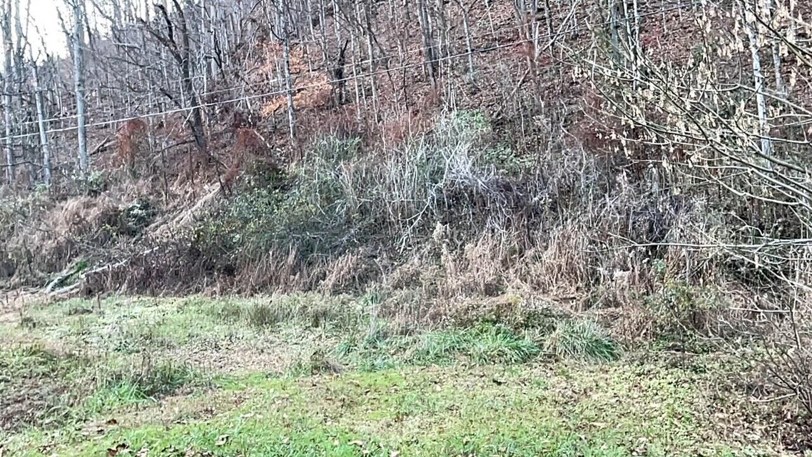 Photo #6: Tract # 9 Shelleys Road