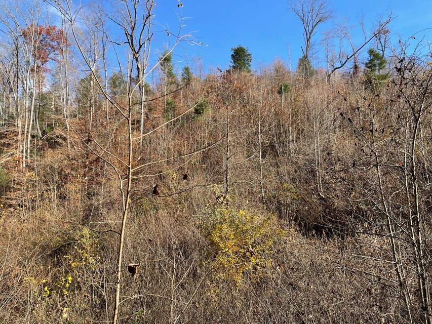 Photo #10: Tract # 9 Shelleys Road