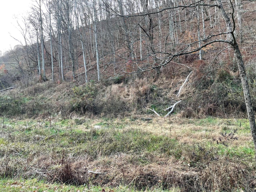 Photo #11: Tract # 9 Shelleys Road