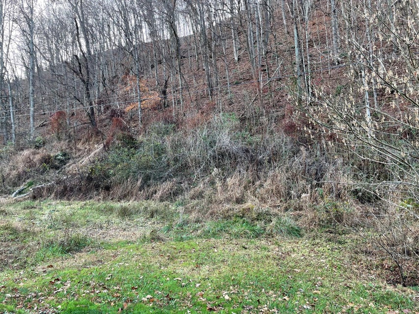 Photo #20: Tract # 9 Shelleys Road