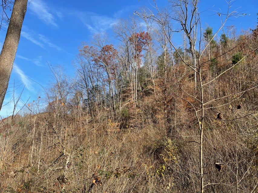 Photo #22: Tract # 9 Shelleys Road