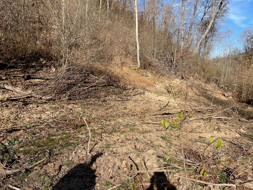 Photo #26: Tract # 9 Shelleys Road
