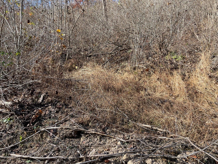 Photo #28: Tract # 9 Shelleys Road