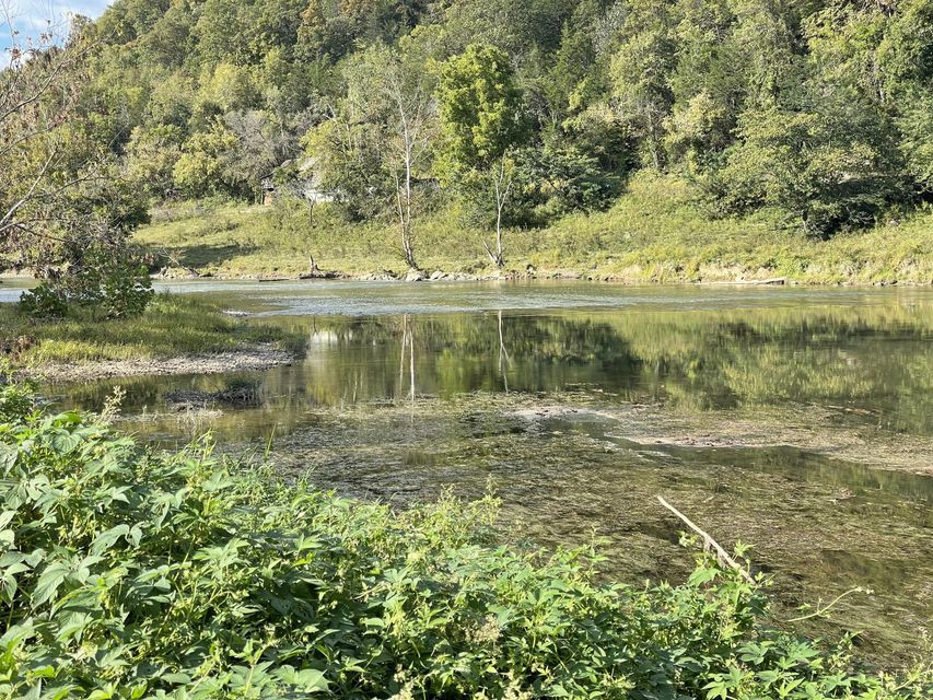 Photo #4: 00 Clinch River Circle