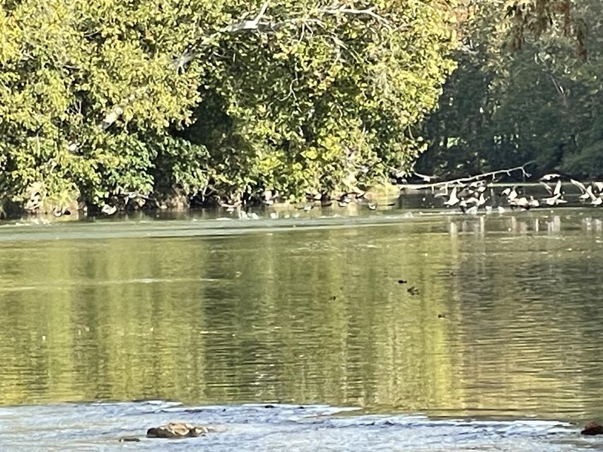 Photo #10: 00 Clinch River Circle
