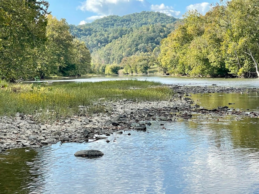 Photo #12: 00 Clinch River Circle