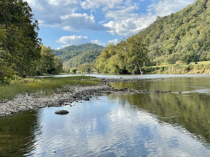 Photo #13: 00 Clinch River Circle