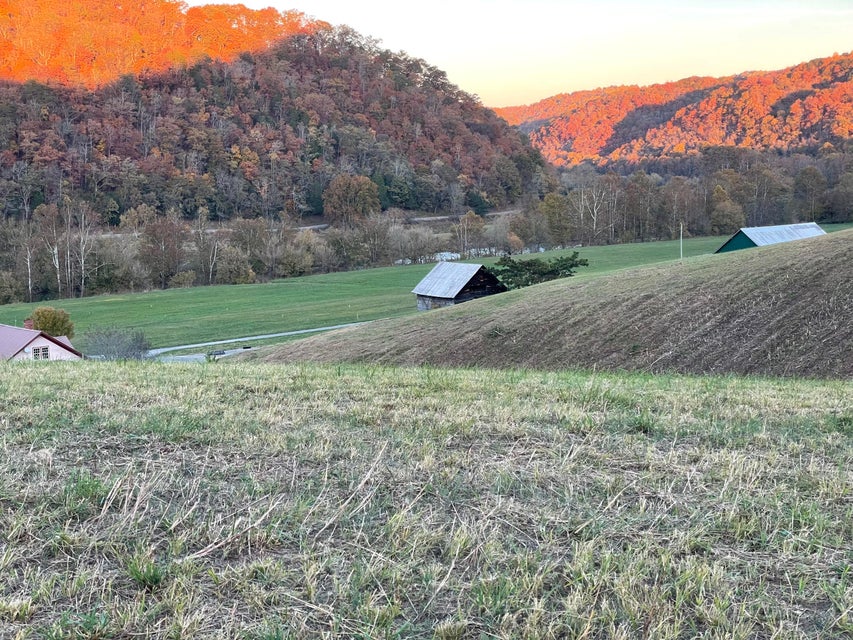 Photo #17: 00 Clinch River Circle
