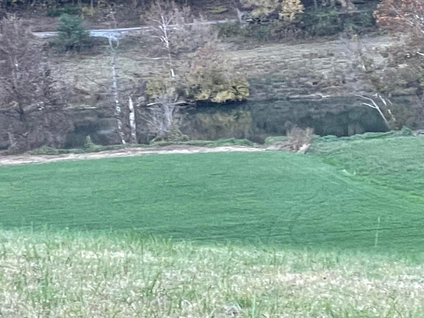 Photo #18: 00 Clinch River Circle