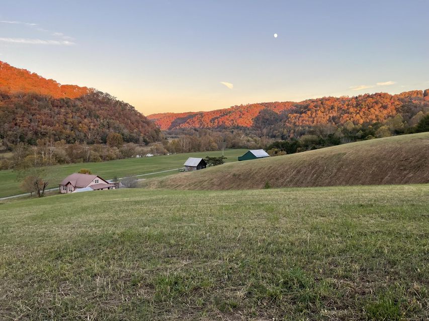 Photo #20: 00 Clinch River Circle