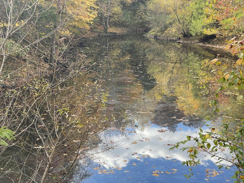 Photo #25: 00 Clinch River Circle