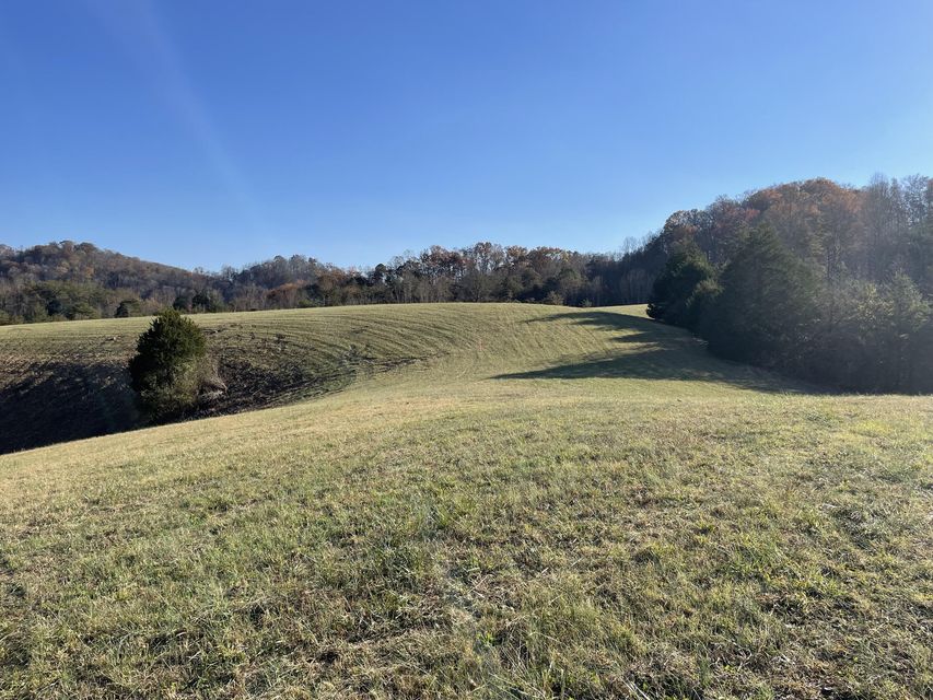 Photo #26: 00 Clinch River Circle