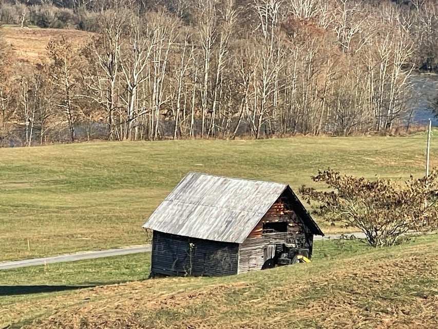 Photo #28: 00 Clinch River Circle